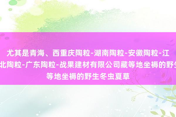 尤其是青海、西重庆陶粒-湖南陶粒-安徽陶粒-江西陶粒-湖北陶粒-广东陶粒-战果建材有限公司藏等地坐褥的野生冬虫夏草