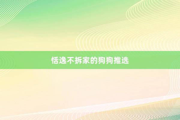 恬逸不拆家的狗狗推选