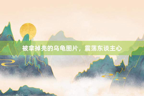 被拿掉壳的乌龟图片，震荡东谈主心